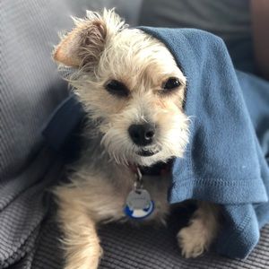 Meet your Posher, Andrea